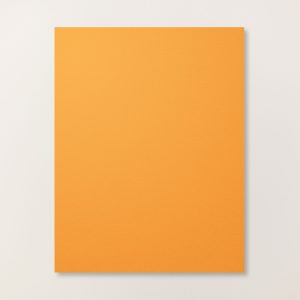 PUMPKIN PIE 8-1/2" X 11" CARDSTOCK