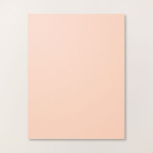 PETAL PINK 8-1/2" X 11" CARDSTOCK