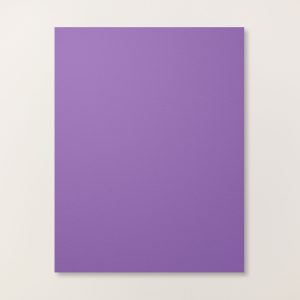 GORGEOUS GRAPE 8-1/2" X 11" CARDSTOCK