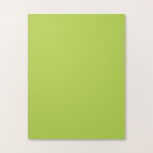 GRANNY APPLE GREEN 8-1/2" X 11" CARDSTOCK