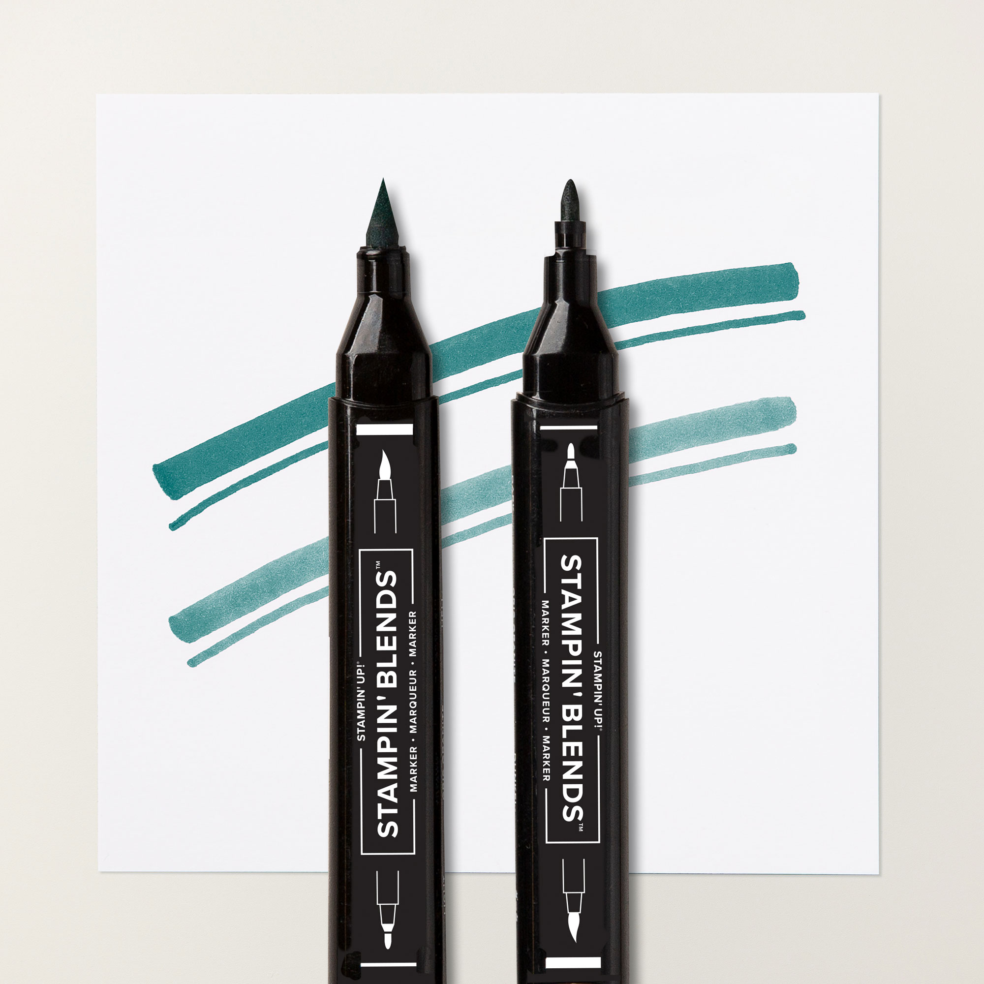 161676o01.jpg