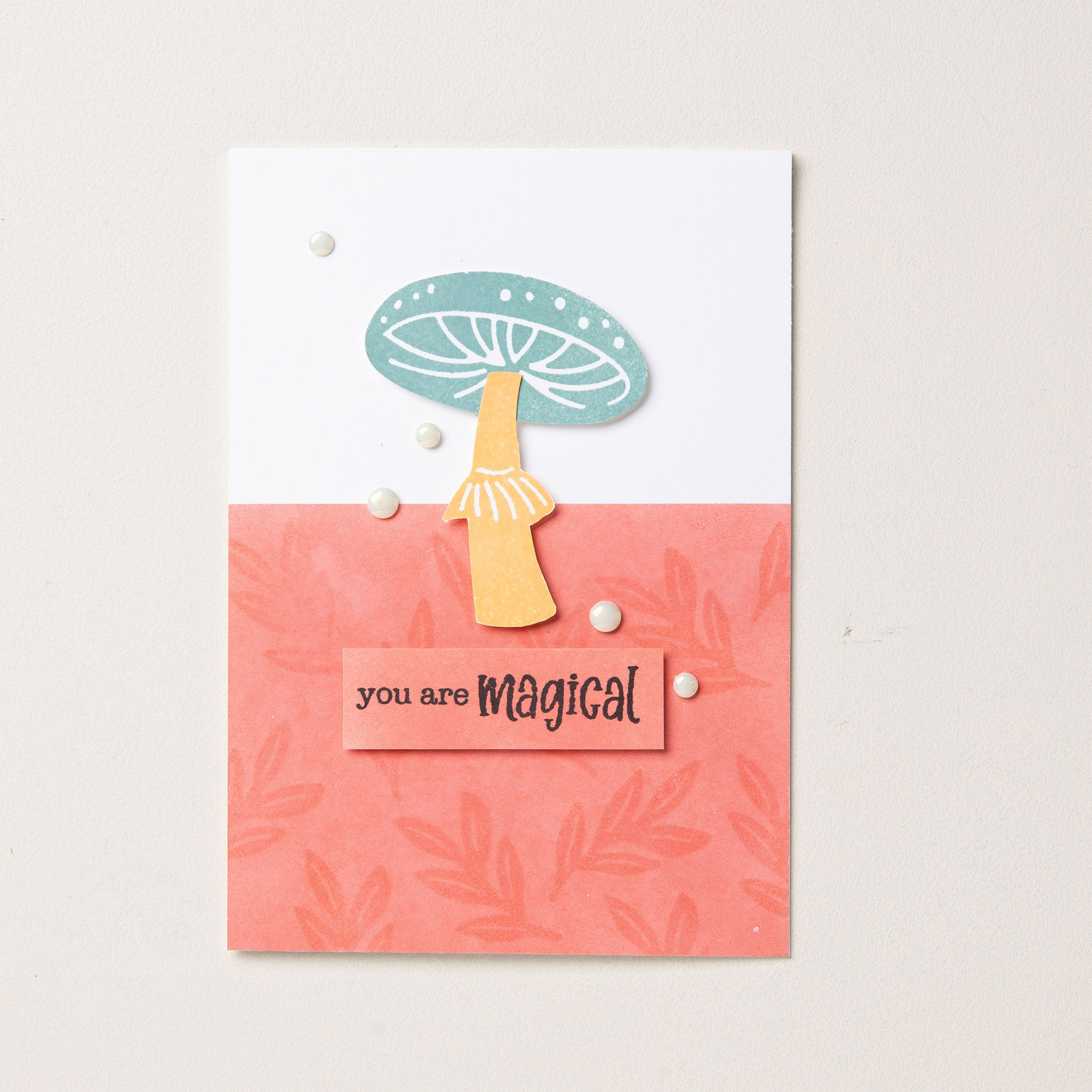 164789o33.jpg