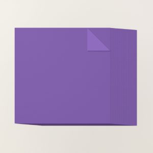 GORGEOUS GRAPE 12" X 12" (30.5 X 30.5 CM) TWO-TONE CARDSTOCK