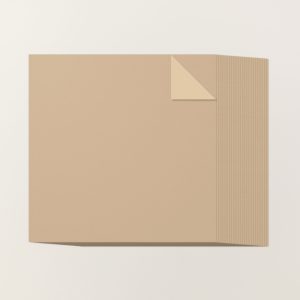 CRUMB CAKE 12" X 12" (30.5 X 30.5 CM) TWO-TONE CARDSTOCK