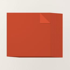 CAJUN CRAZE 12" X 12" (30.5 X 30.5 CM) TWO-TONE CARDSTOCK