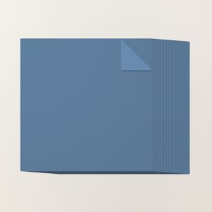 MISTY MOONLIGHT 12" X 12" (30.5 X 30.5 CM) TWO-TONE CARDSTOCK