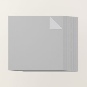 SMOKY SLATE 12" X 12" (30.5 X 30.5 CM) TWO-TONE CARDSTOCK