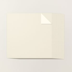 VERY VANILLA 12" X 12" (30.5 X 30.5 CM) TWO-TONE CARDSTOCK