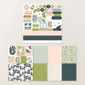 LOVELY BLOSSOMS DESIGNER SERIES PAPER & STICKER SHEET (ENGLISH)