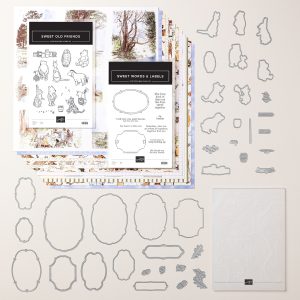 SILLY OLD BEAR SUITE COLLECTION