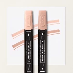 CRISP CANTALOUPE STAMPIN’ BLENDS COMBO PACK