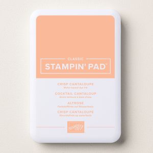 CRISP CANTALOUPE CLASSIC STAMPIN PAD