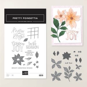 PRETTY POINSETTIA BUNDLE (ENGLISH)