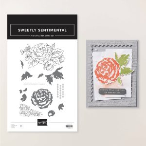 SWEETLY SENTIMENTAL PHOTOPOLYMER STAMP SET